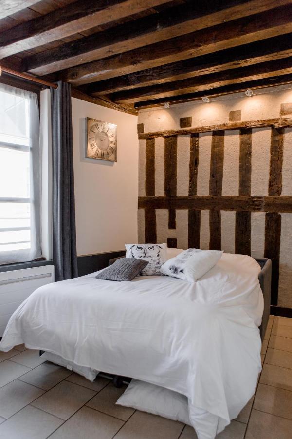 Au Bourg Neuf Apartment Orleans Bagian luar foto